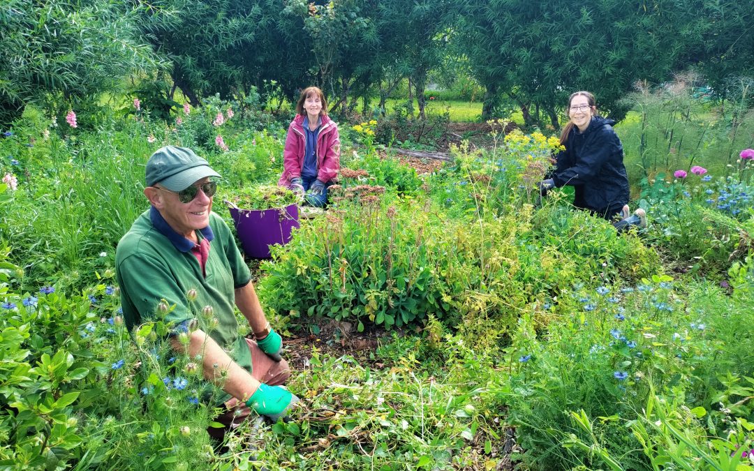 Good Food Fortnight Feature: Tuppenny Barn