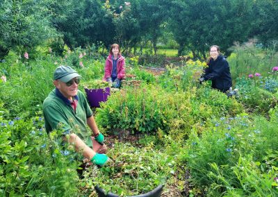 Good Food Fortnight Feature: Tuppenny Barn