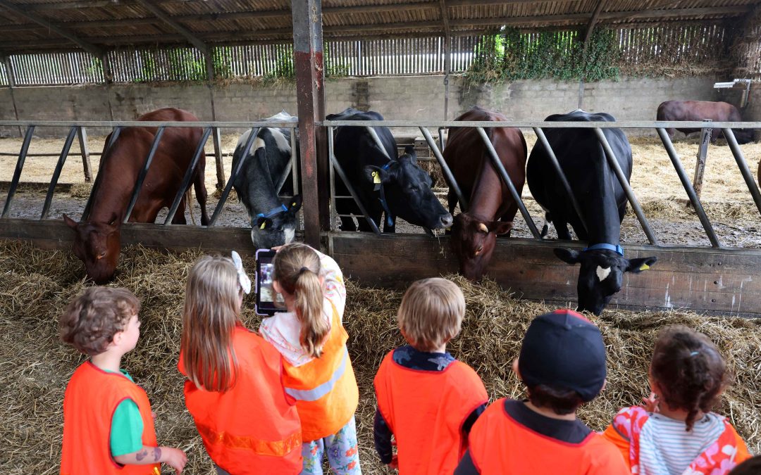 Good Food Fortnight Feature: Goodwood Education Trust