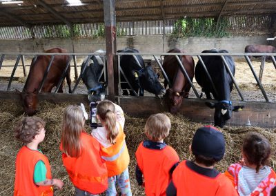 Good Food Fortnight Feature: Goodwood Education Trust