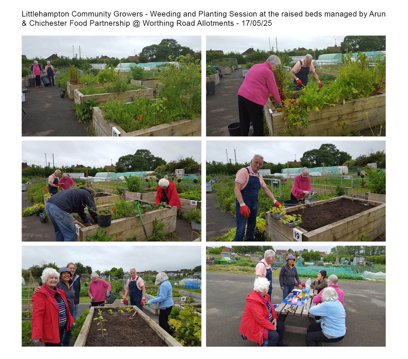 thumbnail_Raised Beds_250526