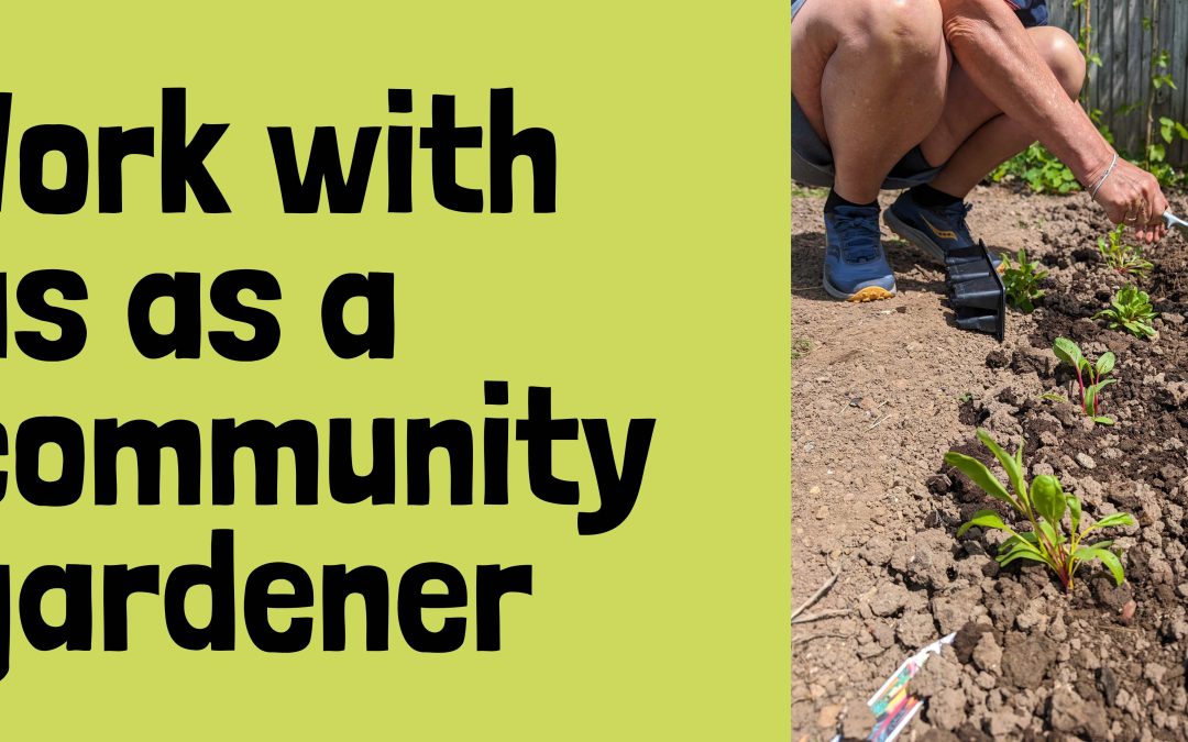 Community gardener wanted!