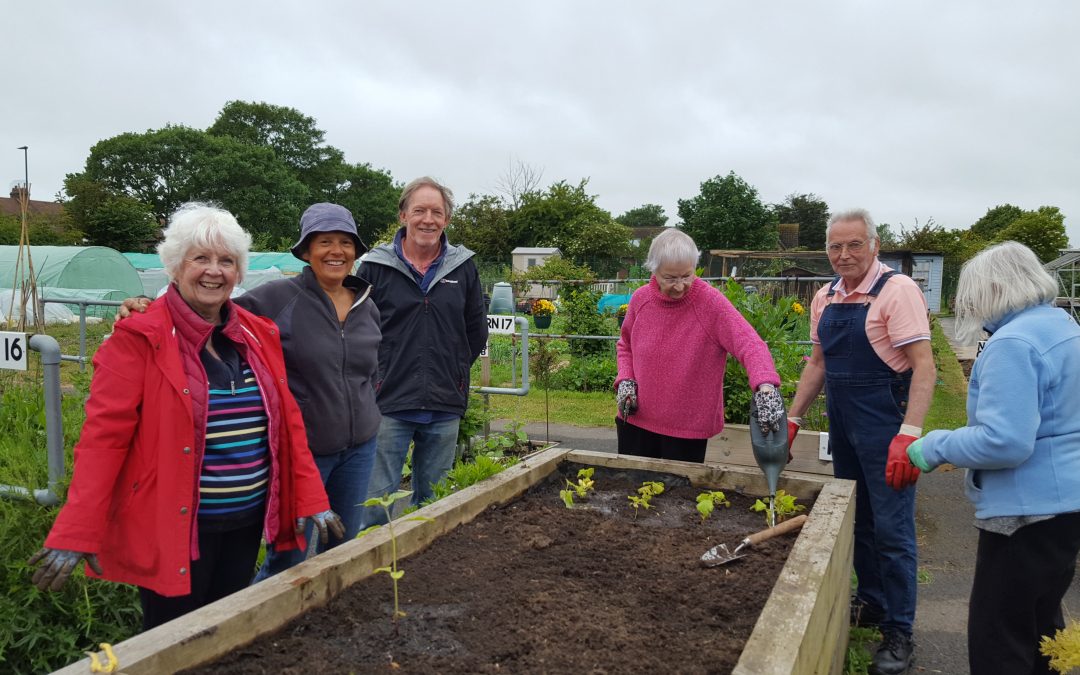 Guest Blog – Littlehampton Community Growers